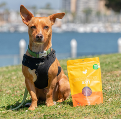 Chicken Breast Jerky