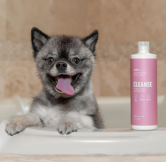 Cleanse Purifying Shampoo