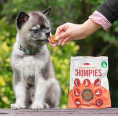 Salmon and Sweet Potato Chompies