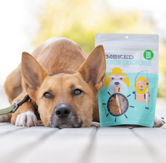 Smoked Salmon Cracklings